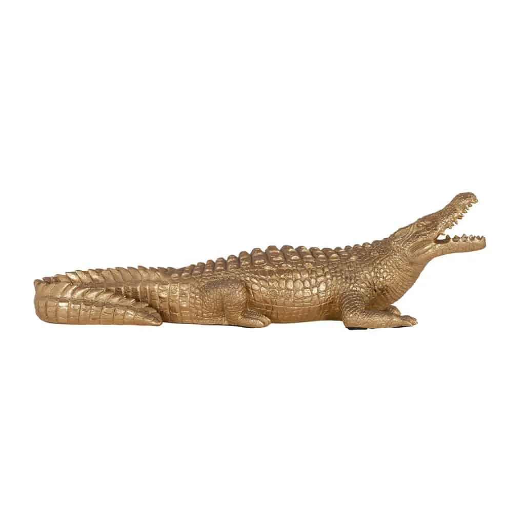Richmond crocodile 1
