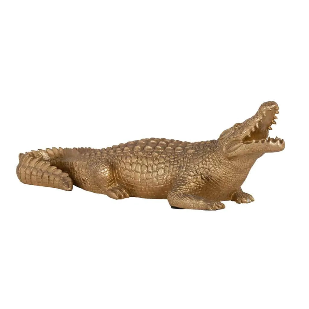 Richmond crocodile 2